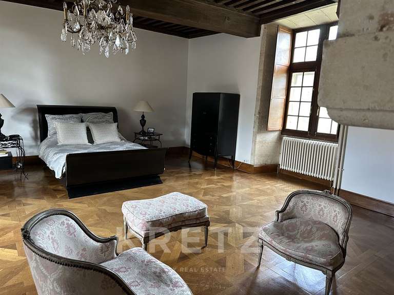 Château La Réorthe - 9 chambres - 1200m²