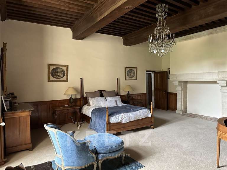 Château La Réorthe - 9 chambres - 1200m²