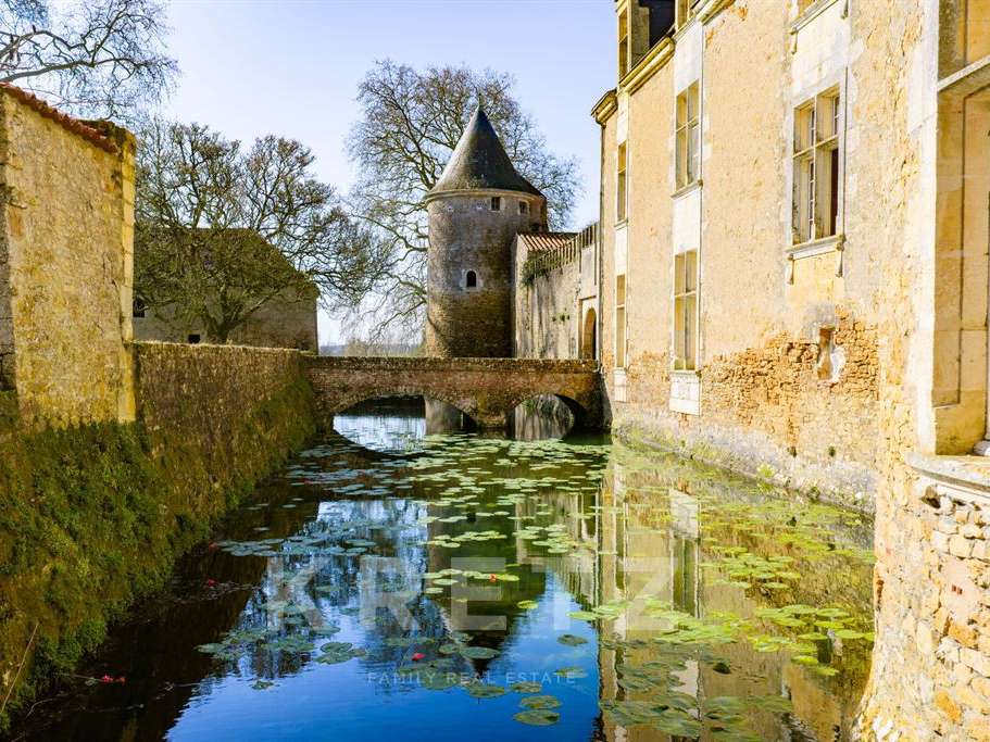 Castle La Réorthe