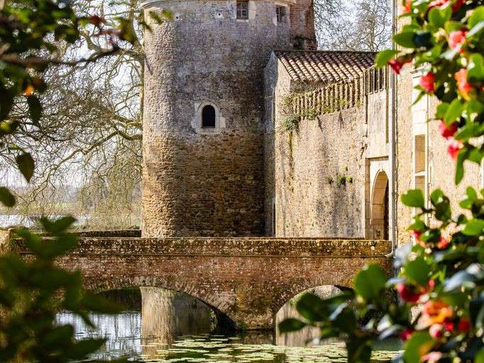 Castle La Réorthe