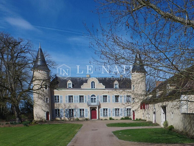 Vente Château La Roche-Posay - 9 chambres