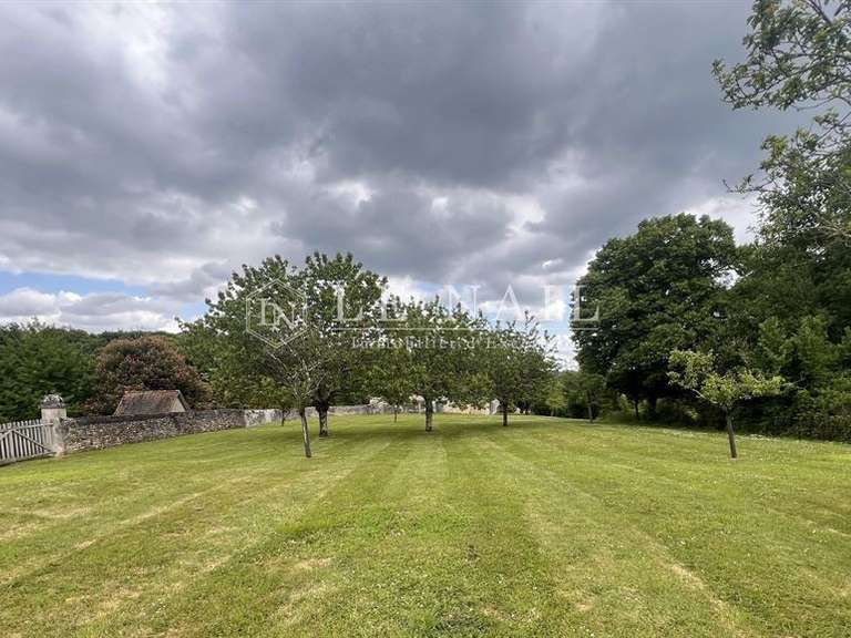 Castle La Roche-Posay - 7 bedrooms - 430m²