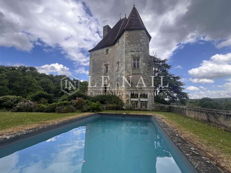 Château La Roche-Posay - 7 chambres - 430m²