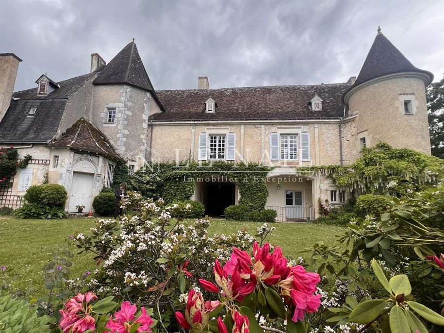 Castle La Roche-Posay