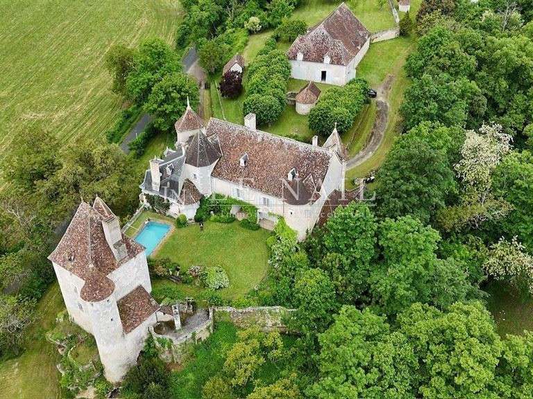 Castle La Roche-Posay - 7 bedrooms - 430m²
