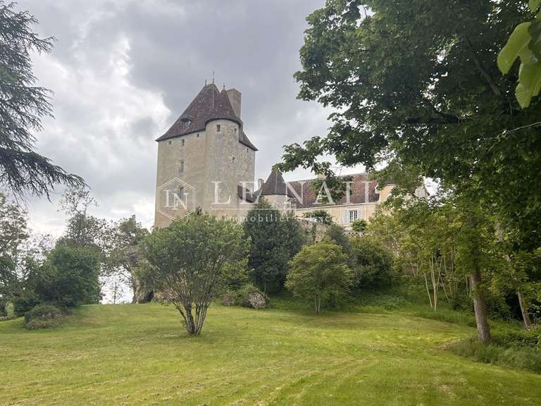 Château La Roche-Posay - 7 chambres - 430m²