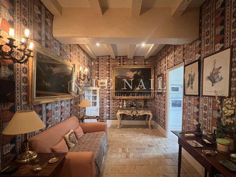 Château La Roche-Posay - 7 chambres - 430m²