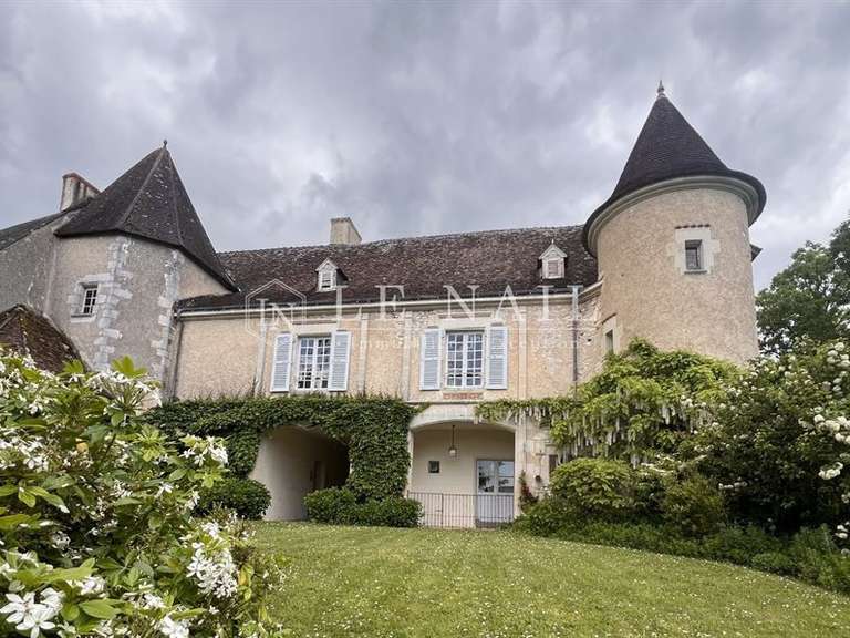 Château La Roche-Posay - 7 chambres - 430m²