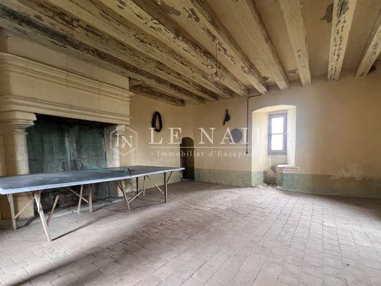 Château La Roche-Posay - 7 chambres - 430m²