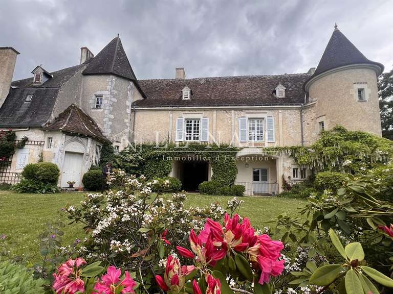 Château La Roche-Posay - 7 chambres - 430m²