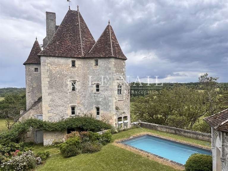 Château La Roche-Posay - 7 chambres - 430m²