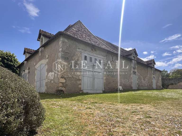 Château La Roche-Posay - 7 chambres - 430m²