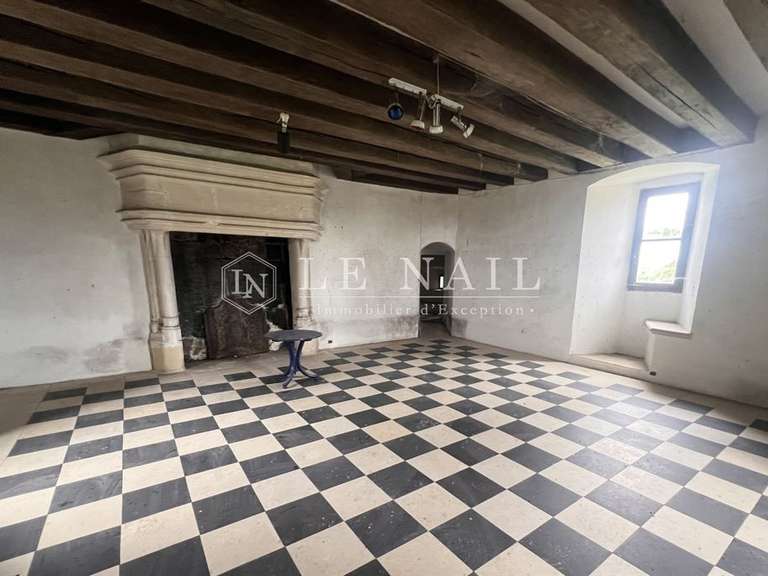 Château La Roche-Posay - 7 chambres - 430m²