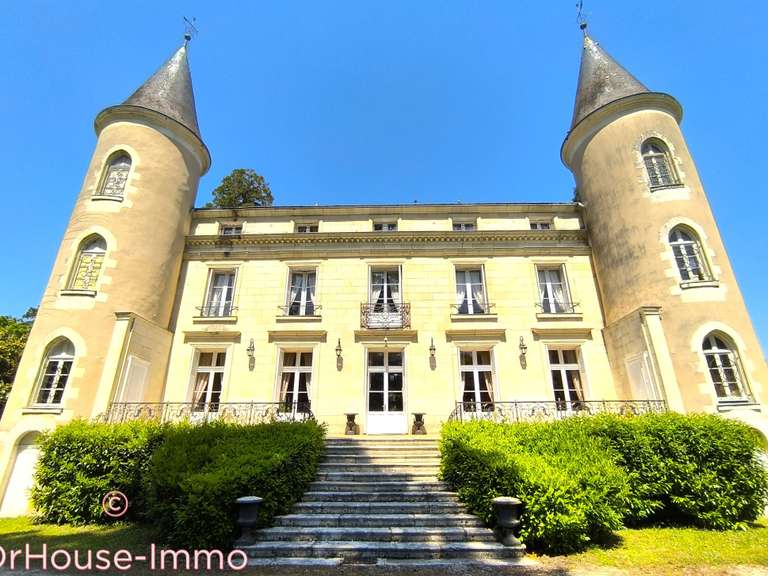 Château La Roche-Posay - 17 chambres - 1550m²