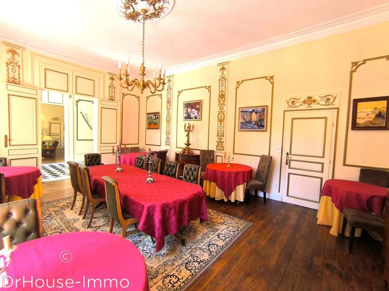 Château La Roche-Posay - 17 chambres - 1550m²