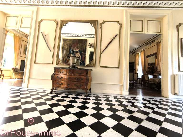 Château La Roche-Posay - 17 chambres - 1550m²