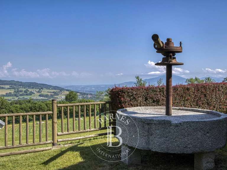 Chalet La Roche-sur-Foron - 4 chambres - 269m²