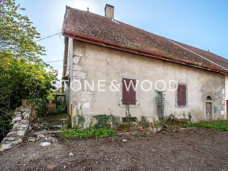 Maison La Roche-sur-Foron - 6 chambres - 230m²