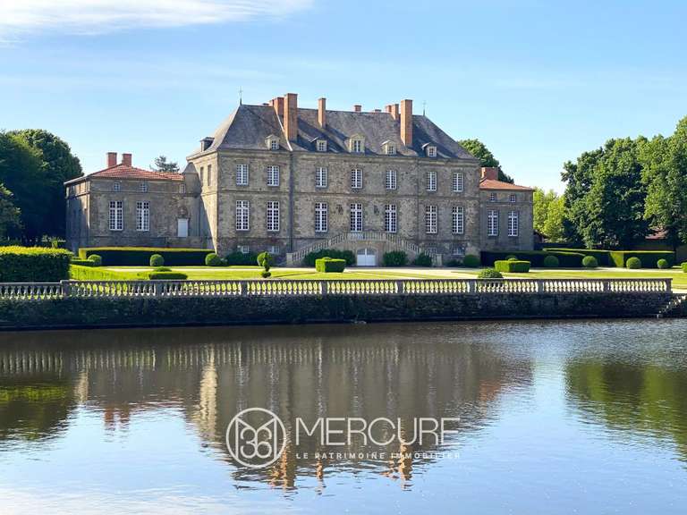 Château La Roche-sur-Yon - 7 chambres - 900m²