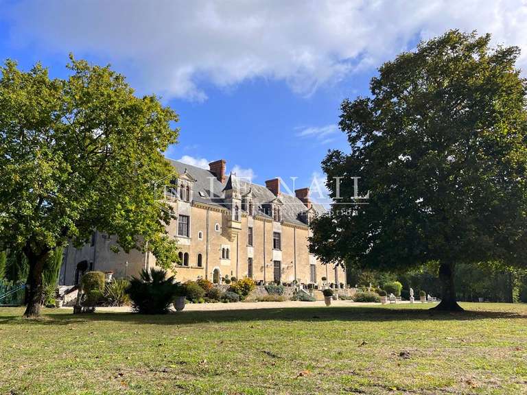Château La Roche-sur-Yon - 22 chambres - 800m²