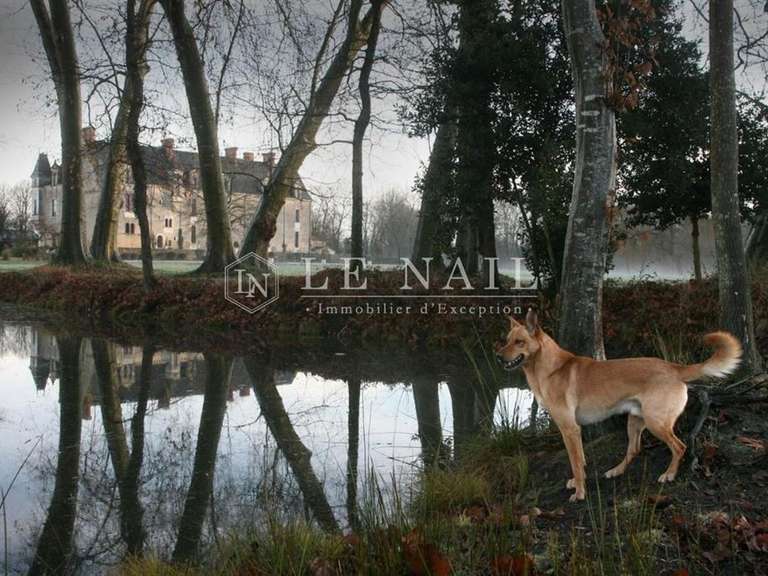 Château La Roche-sur-Yon - 22 chambres - 800m²