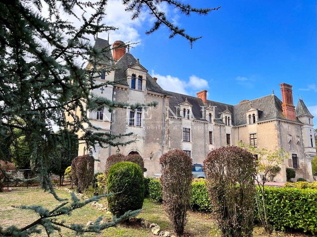 Castle La Roche-sur-Yon