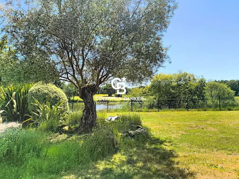 Maison La Roche-sur-Yon - 4 chambres - 263m²
