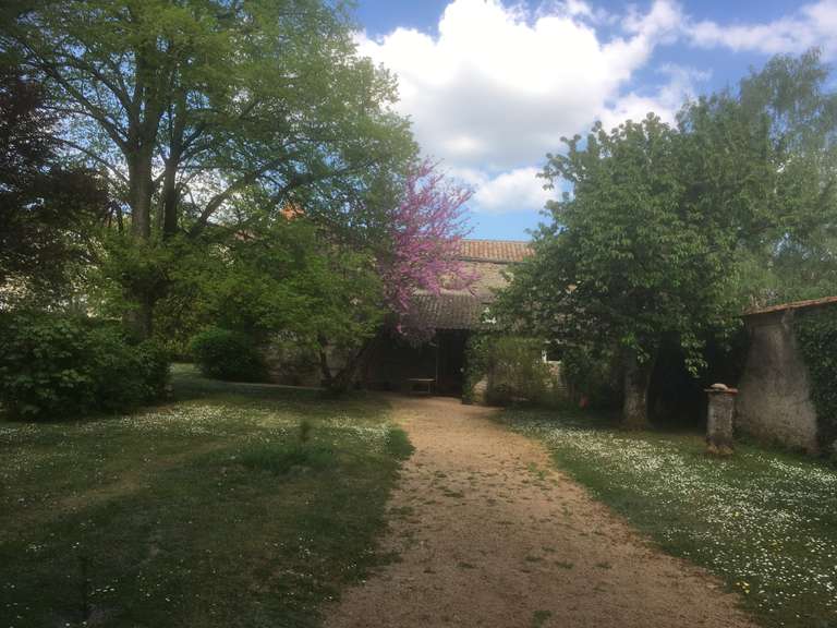 Maison La Roche-Vineuse - 8 chambres - 445m²