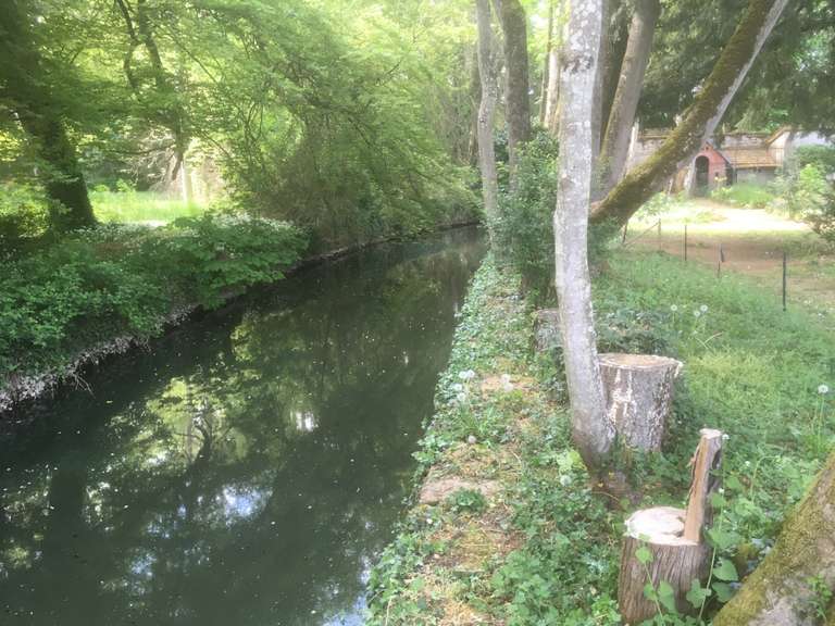 Maison La Roche-Vineuse - 8 chambres - 445m²