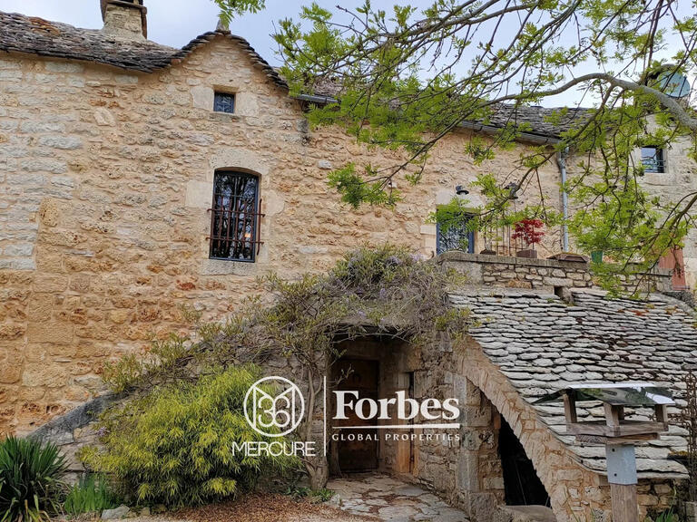 Property La Tieule - 4 bedrooms - 530m²