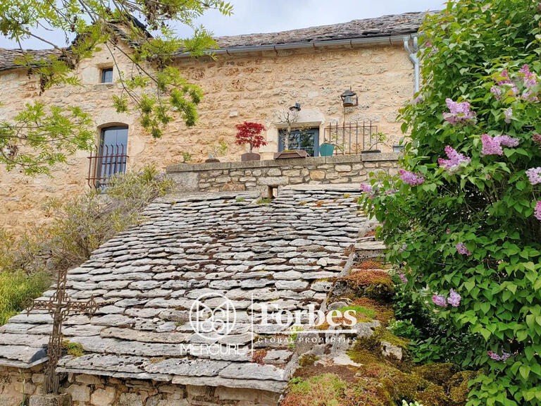 Property La Tieule - 4 bedrooms - 530m²