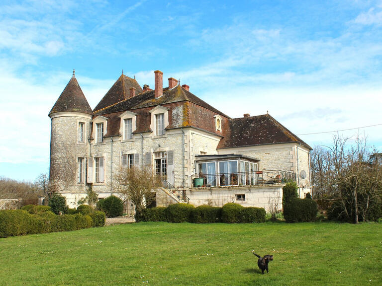 Maison La Trimouille - 6 chambres - 325m²