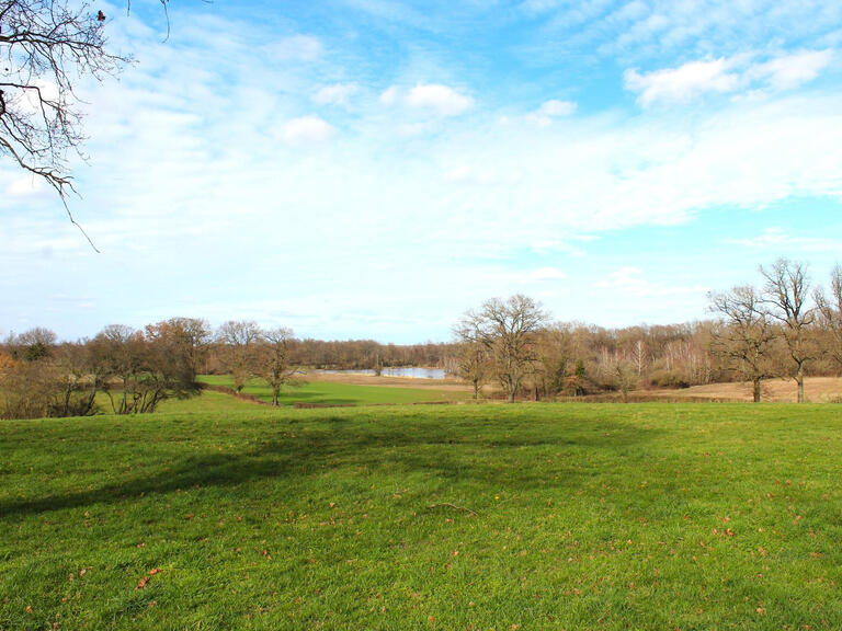 Maison La Trimouille - 6 chambres - 325m²