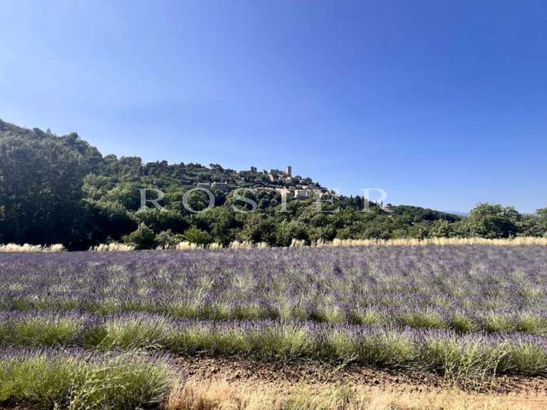 Maison Lacoste - 600m²