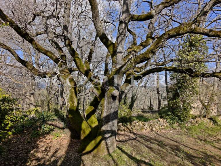 Villa Lacoste - 4 chambres - 110m²