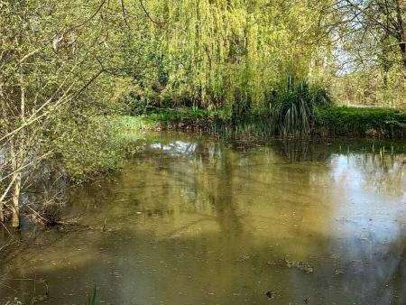 Propriété Lafitole