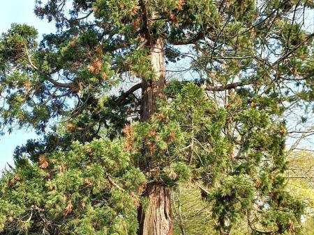 Propriété Lafitole