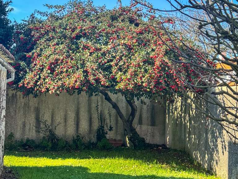 Maison Lagord - 4 chambres - 150m²