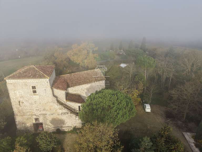 Maison Lagraulet-du-Gers - 8 chambres - 523m²