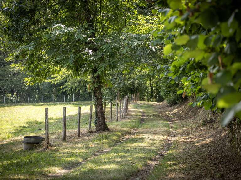 Bien atypique Lalinde - 5 chambres - 320m²