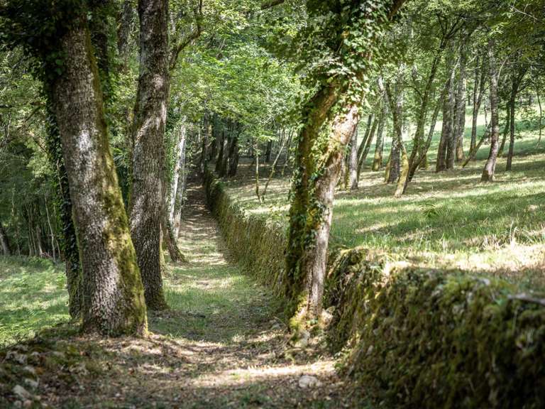 Propriété Lalinde - 5 chambres - 350m²