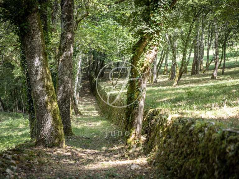 Propriété Lalinde - 5 chambres - 350m²