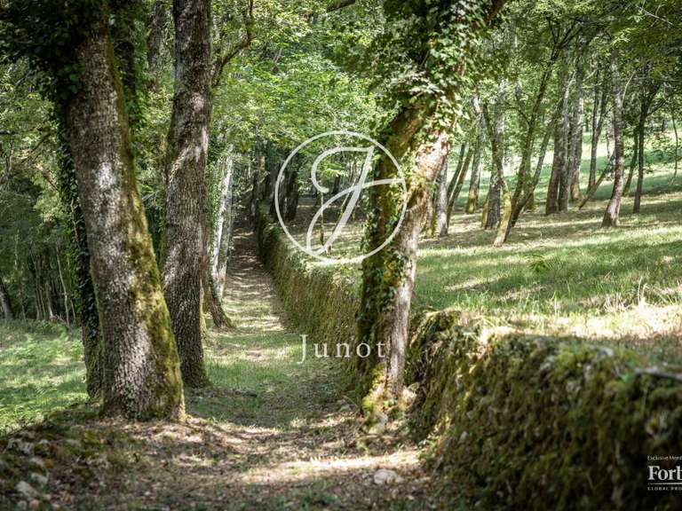 Propriété Lalinde - 5 chambres - 350m²