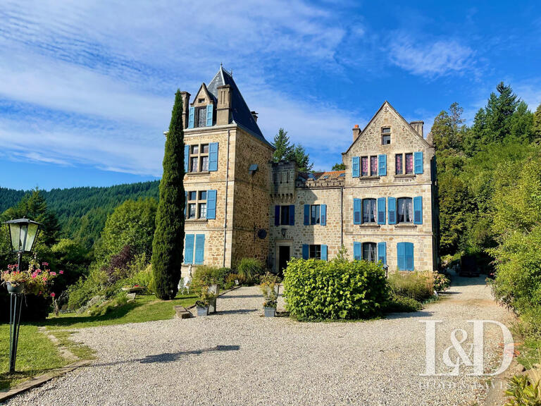 Château Lamastre - 19 chambres - 1000m²