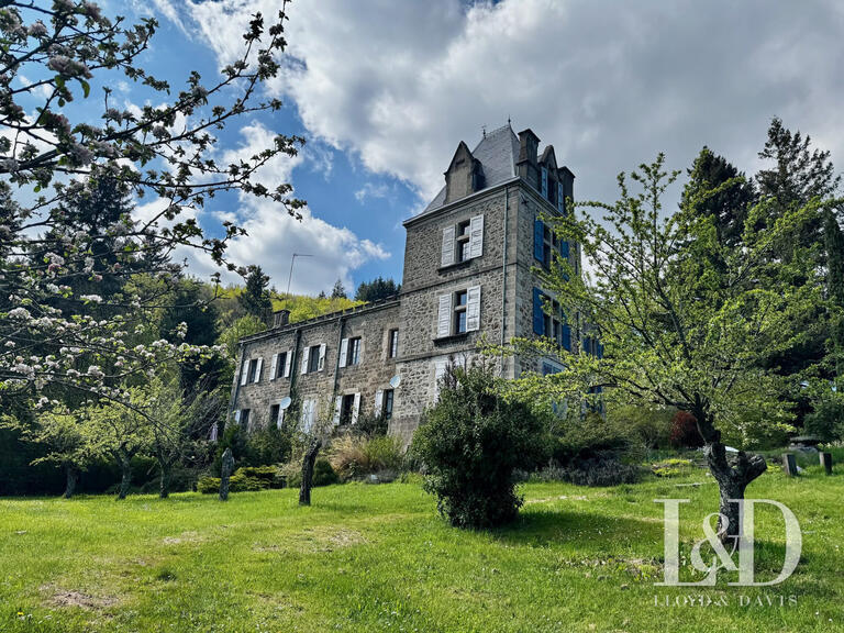 Château Lamastre - 19 chambres - 1000m²