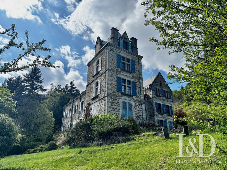 Château Lamastre - 19 chambres - 1000m²