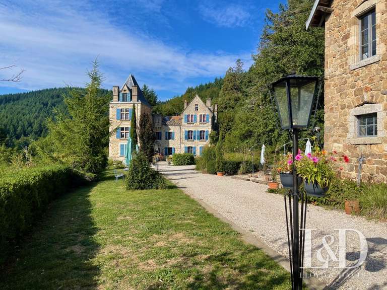 Castle Lamastre - 19 bedrooms - 1000m²