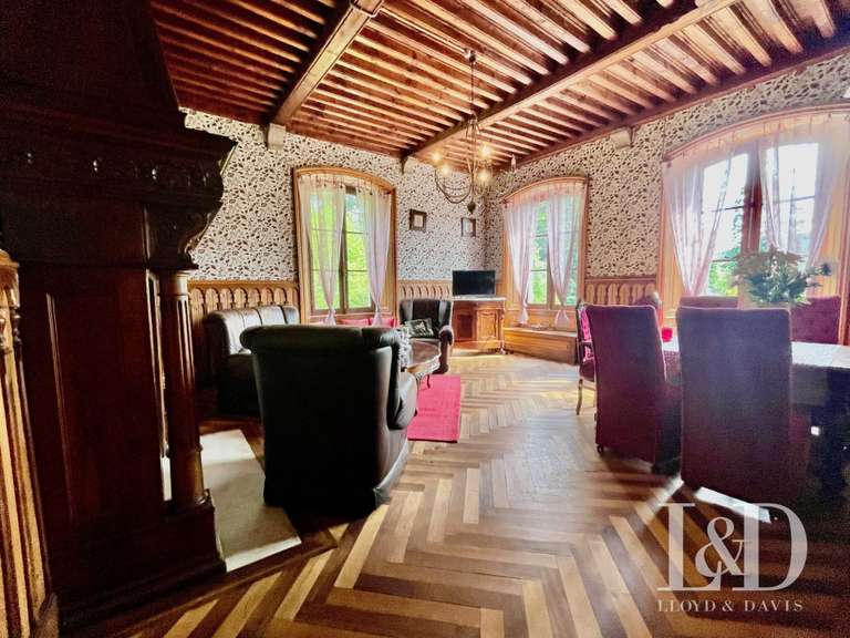 Castle Lamastre - 19 bedrooms - 1000m²
