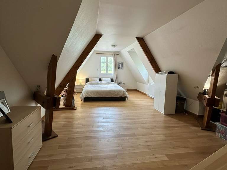 House Lamorlaye - 5 bedrooms - 320m²