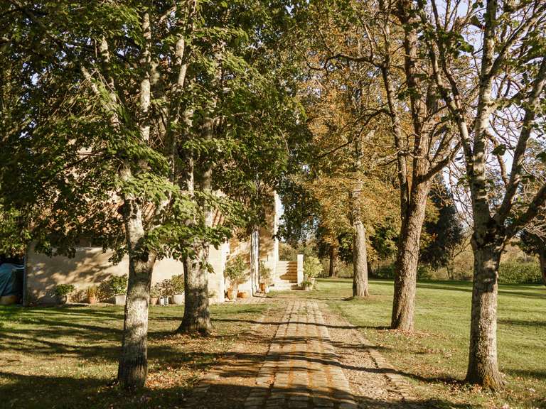 Château Lamothe-Goas - 8 chambres - 571m²